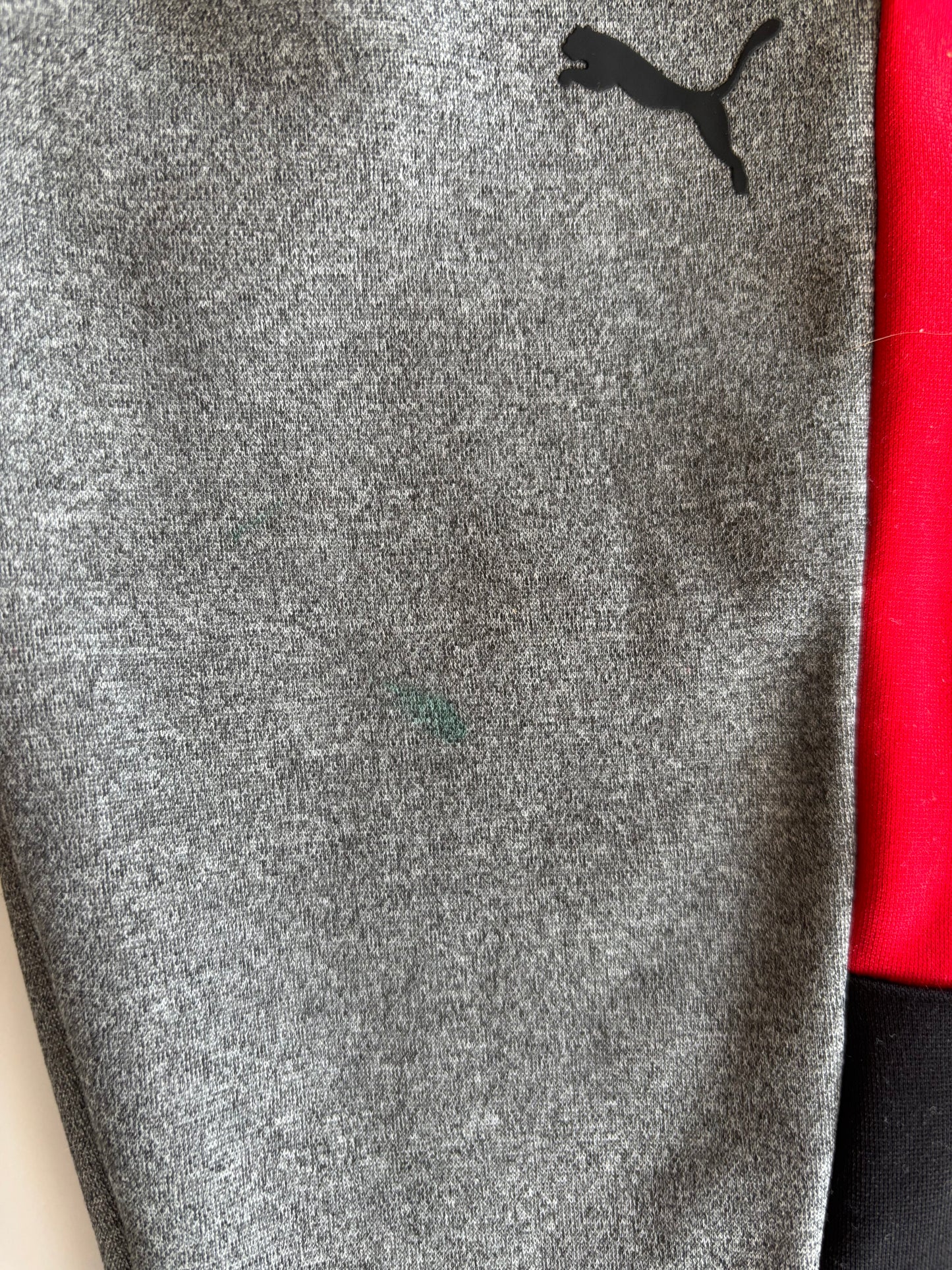 Puma 2T (imparfait)