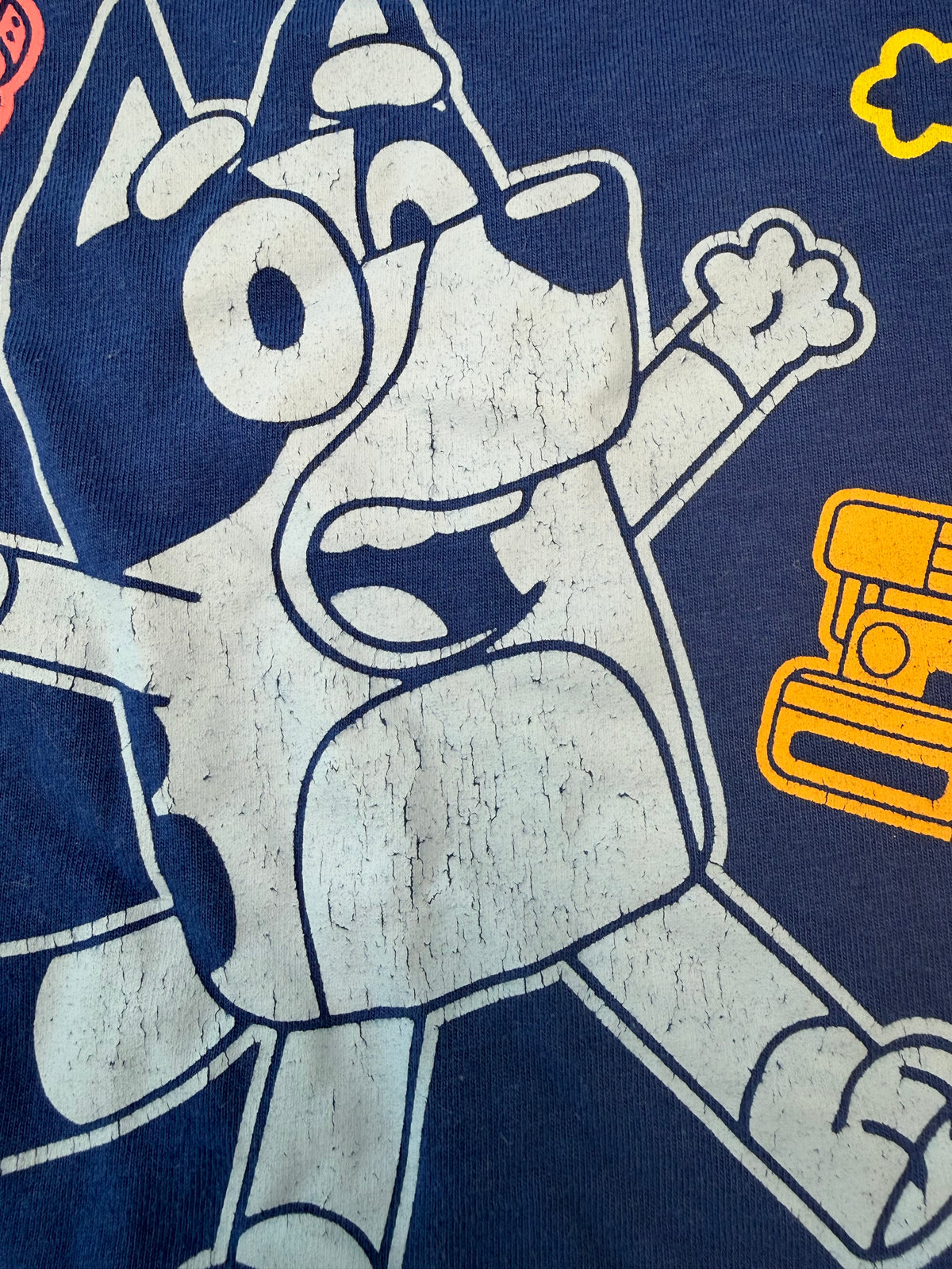 Bluey 6T (Imparfait)