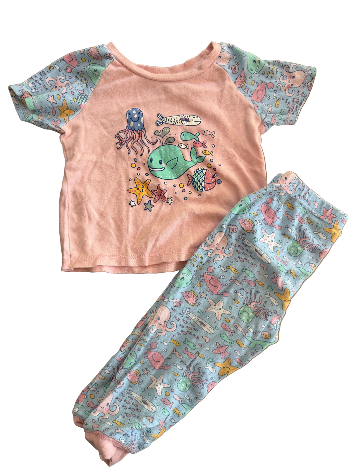 Baby Arie 24M