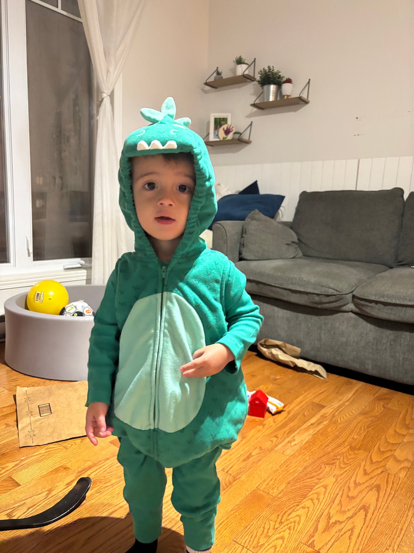 Dinosaure Carter’s 18M