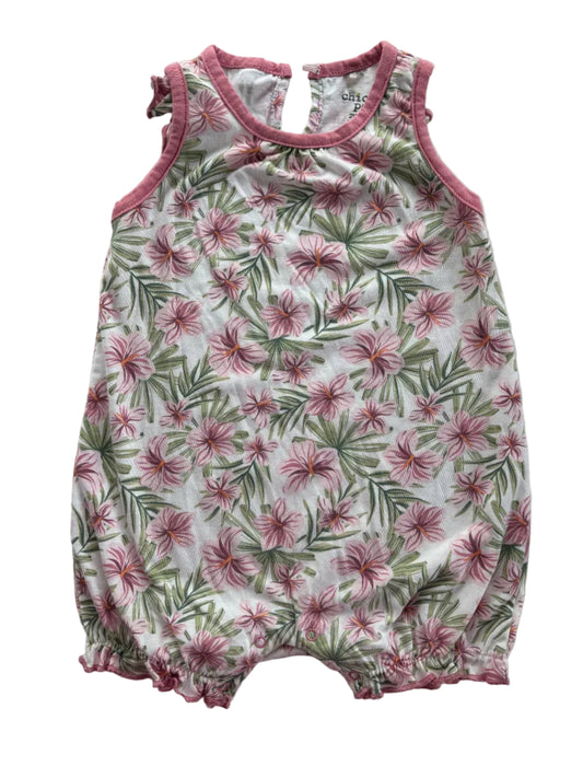 Chick Pea 24M
