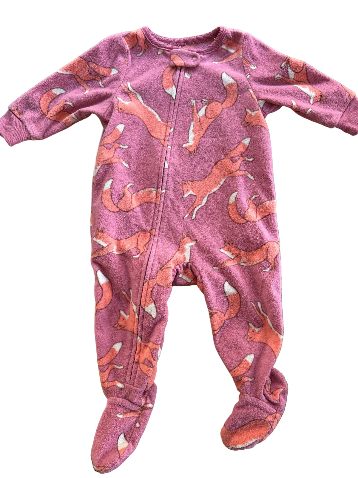 Carter’s 6M (polar)