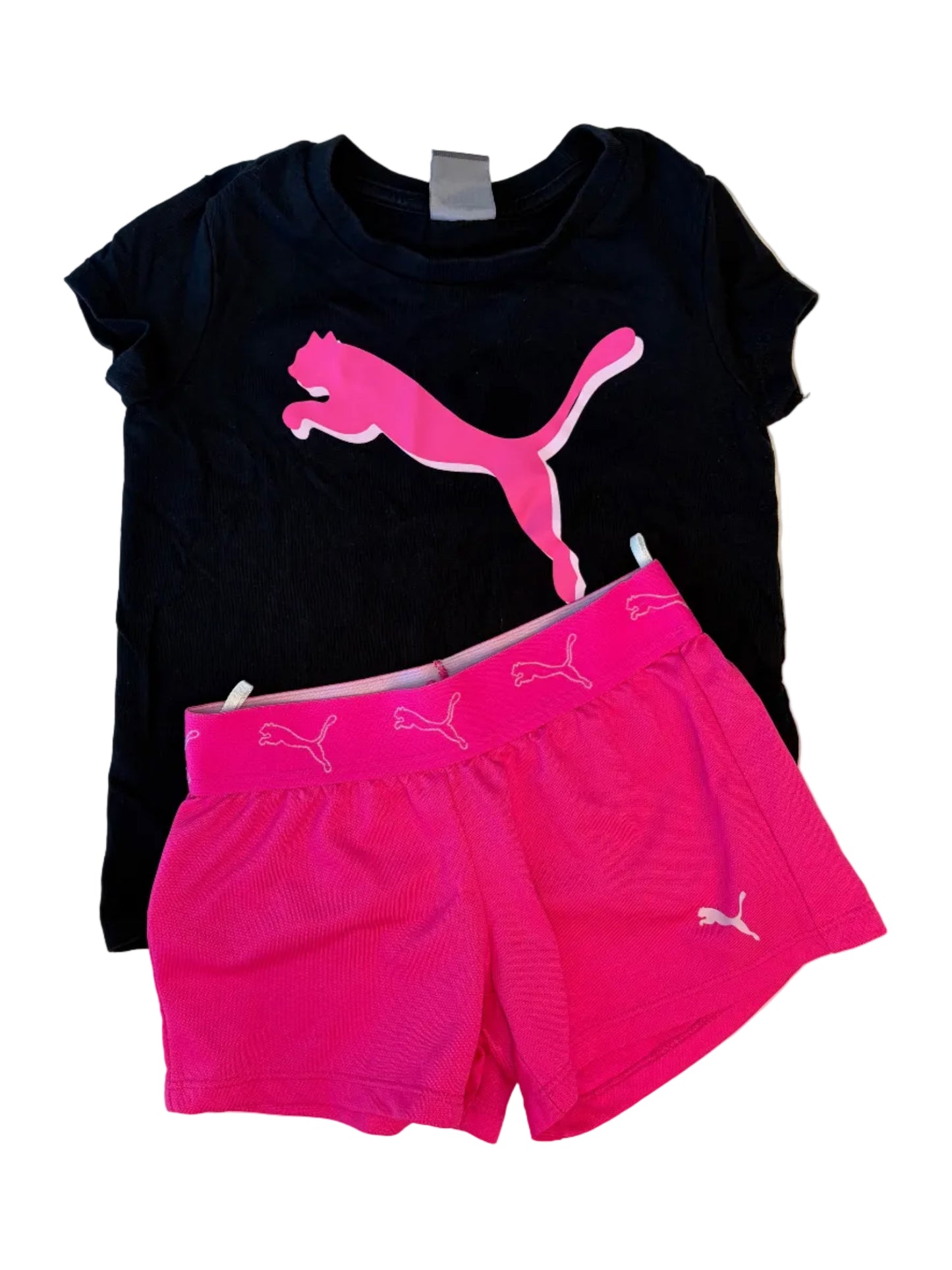 Puma 3T