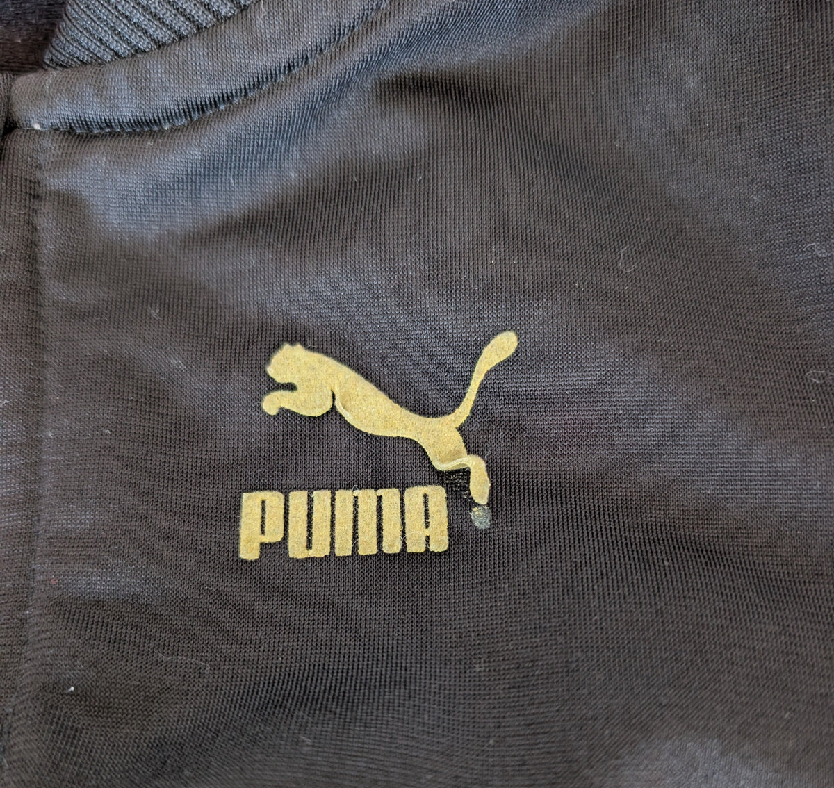 Puma 12M (imparfait)